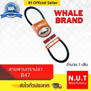 สายพาน B47 V-BELT ร่อง B ร่องเรียบ