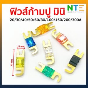 ฟิวส์ก้ามปู มินิ 20/30A/40A/50A/60A/80A/100A/150A/200A/250A/300A