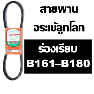 จระเข้ลูกโลก สายพาน B161 B162 B163 B164 B165 B166 B167 B168 B169 B170 B171 B172 B173 B174 B175 B176 B177 B178 B179 B180