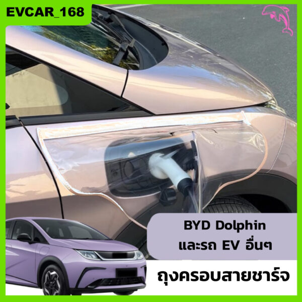 พร้อมส่ง  BYD Dolphin