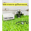 L3608 ขนาด 30x80 มิล