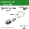 ถูกที่สุด!! สวิทช์ลูกลอยสเตนเลส Float Swittch ตัวตัดการทำงานปั๊มน้ำ ลูกลอยNC 220V ลูกลอยอ่างน้ำ งานปั๊มน้ำ สาย